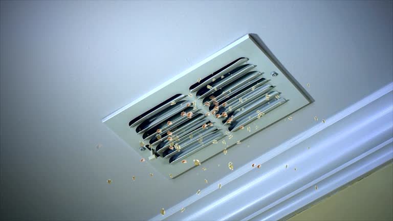 Best Professional Duct Cleaning Services  in Ottawa, OH