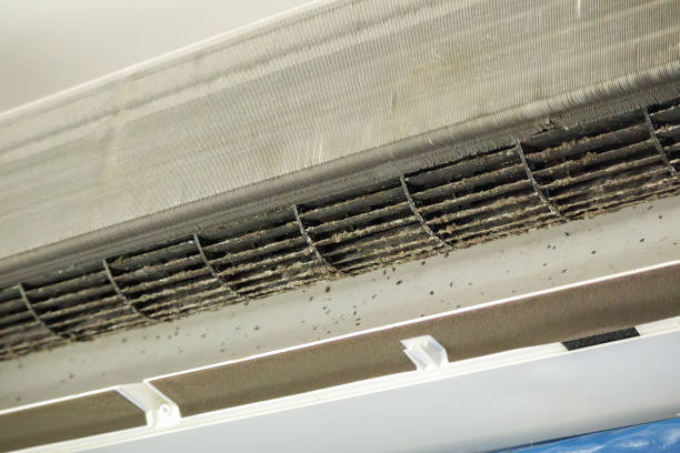 Best Affordable HVAC Duct Cleaning  in Ottawa, OH