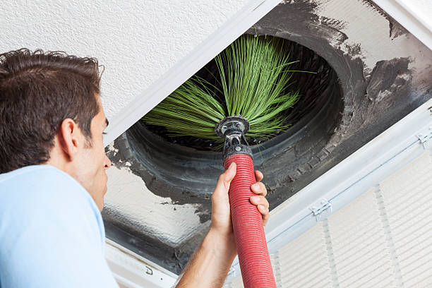 Best Emergency Air Duct Cleaning  in Ottawa, OH