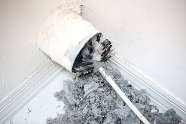 Best Affordable Duct Cleaning Services  in Ottawa, OH