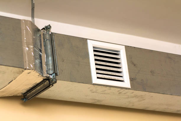 Best Dryer Vent Cleaning Services  in Ottawa, OH